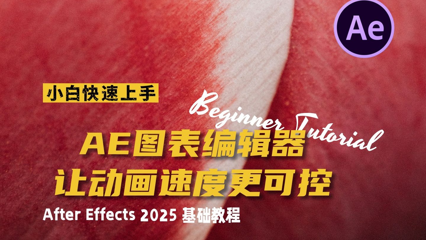 第十一节 AE图表编辑器：让动画速度更可控【AE2025 小白快速上