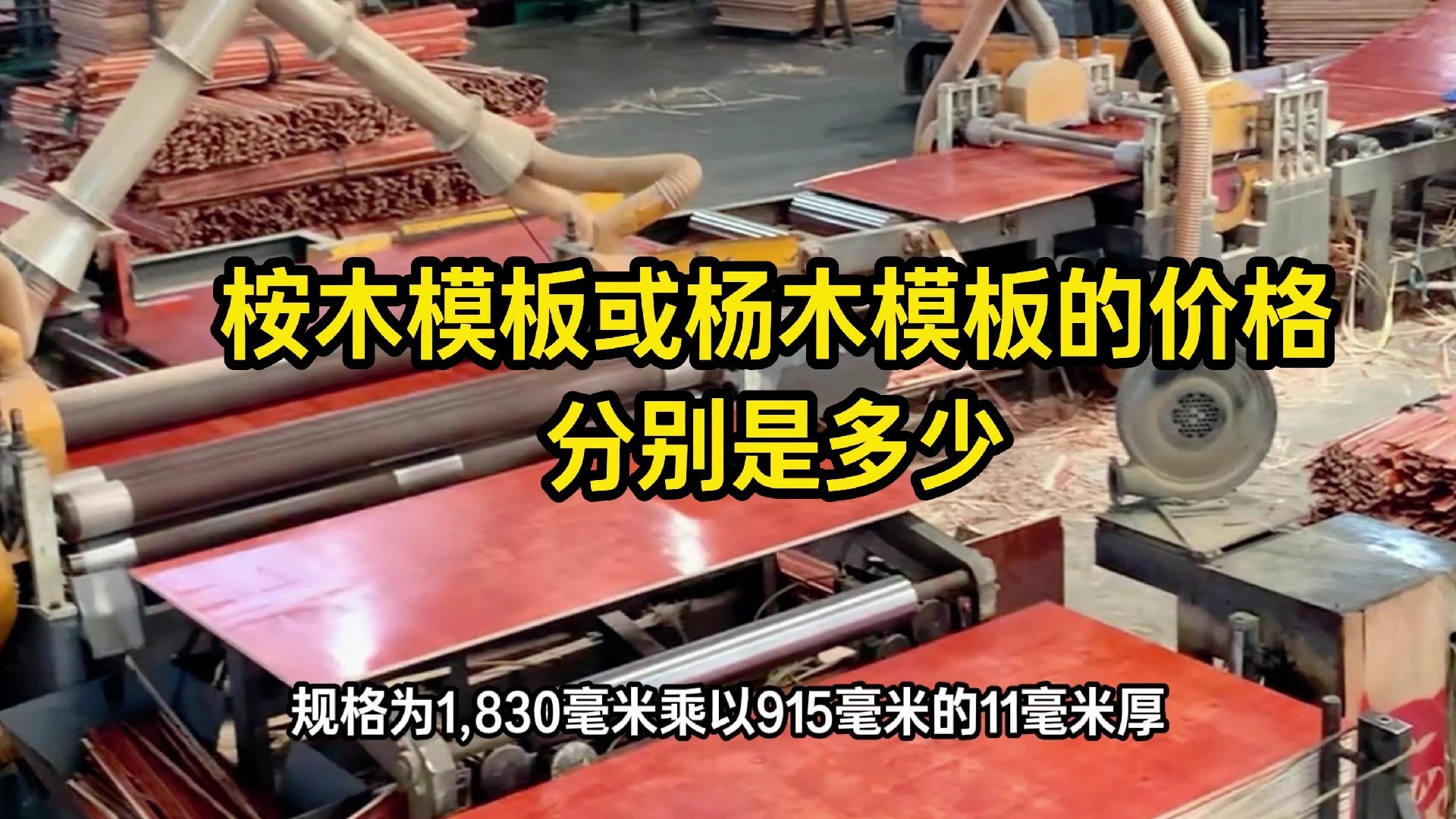 桉木模板或杨木模板的价格分别是多少