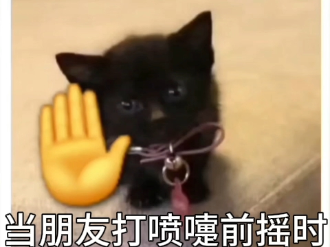 【什么嘎-】最新视频上线，求关注！