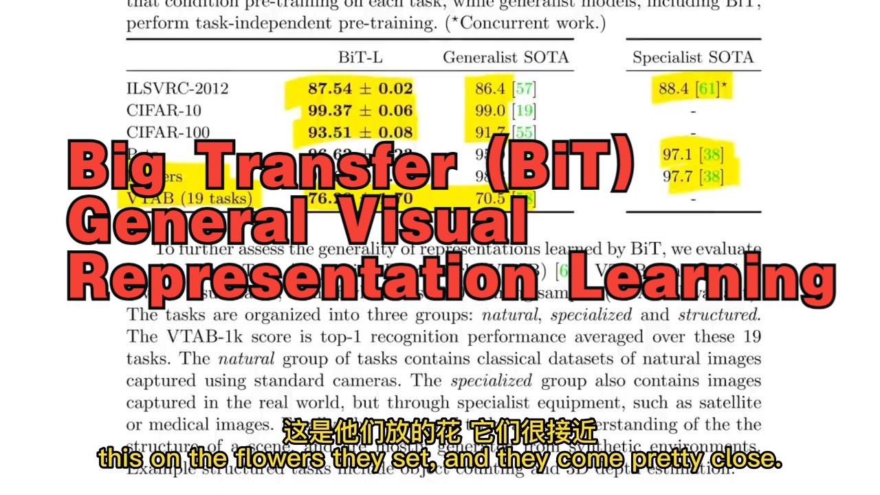 Yannic Kilcher手撕AI经典论文 Big Transfer (BiT) General 