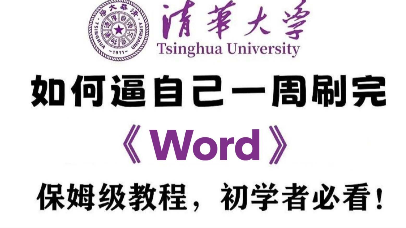 【Word保姆级教程】清华大佬198小时讲完的Word内部培训教程 
