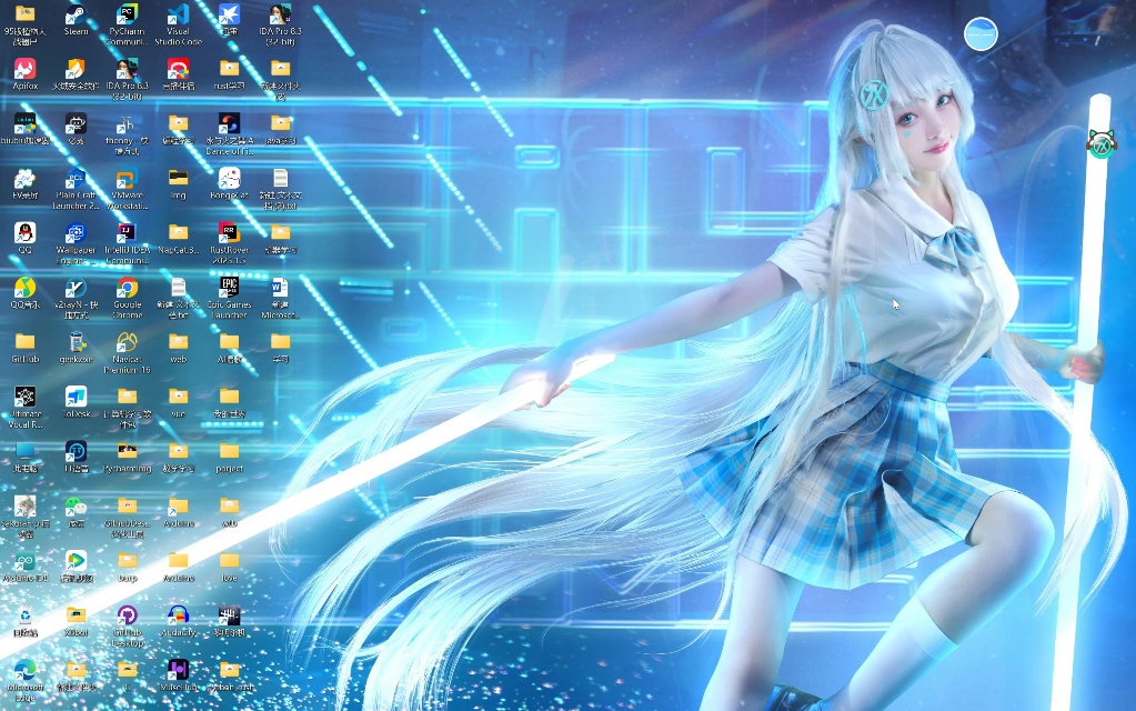 大学生web开发/学习日志