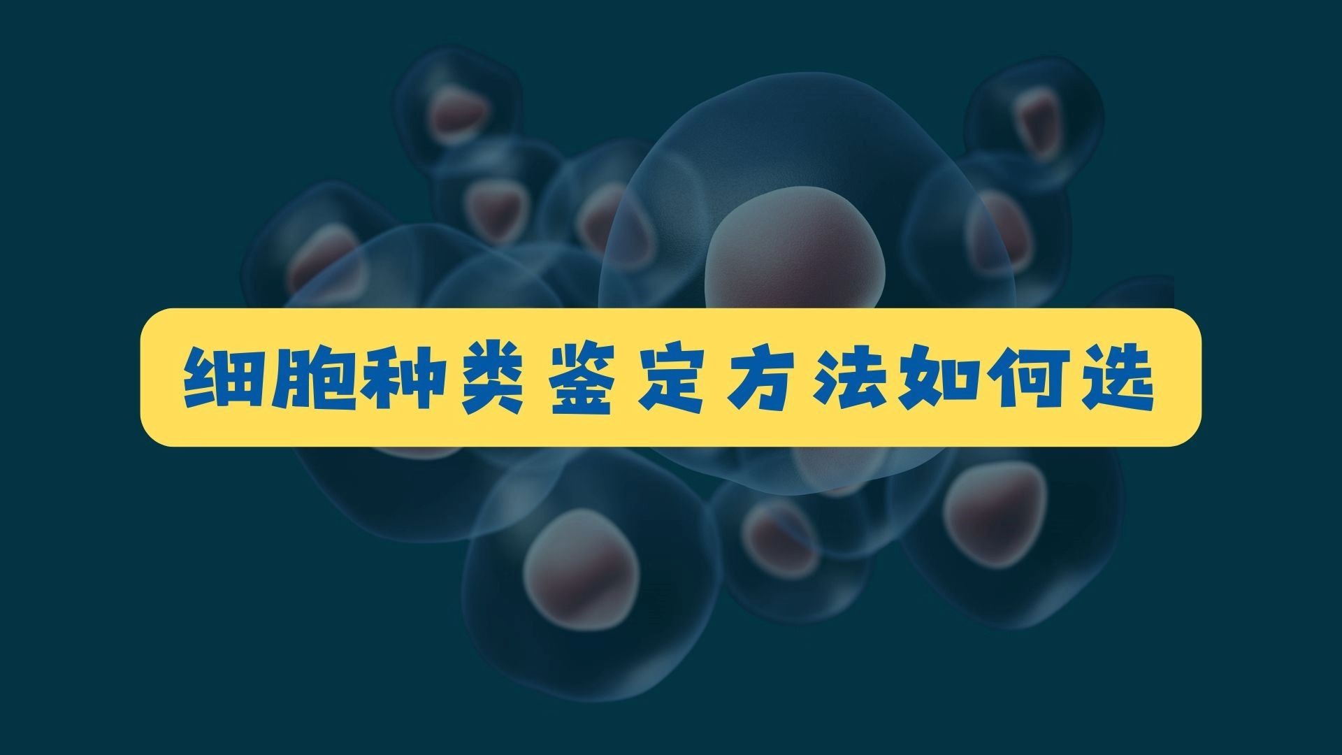 细胞种类鉴定方法如何选？