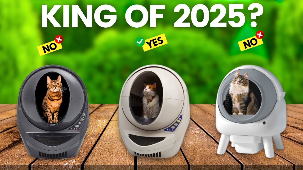 6 Best Self Cleaning Cat Litter Box 2025 1845