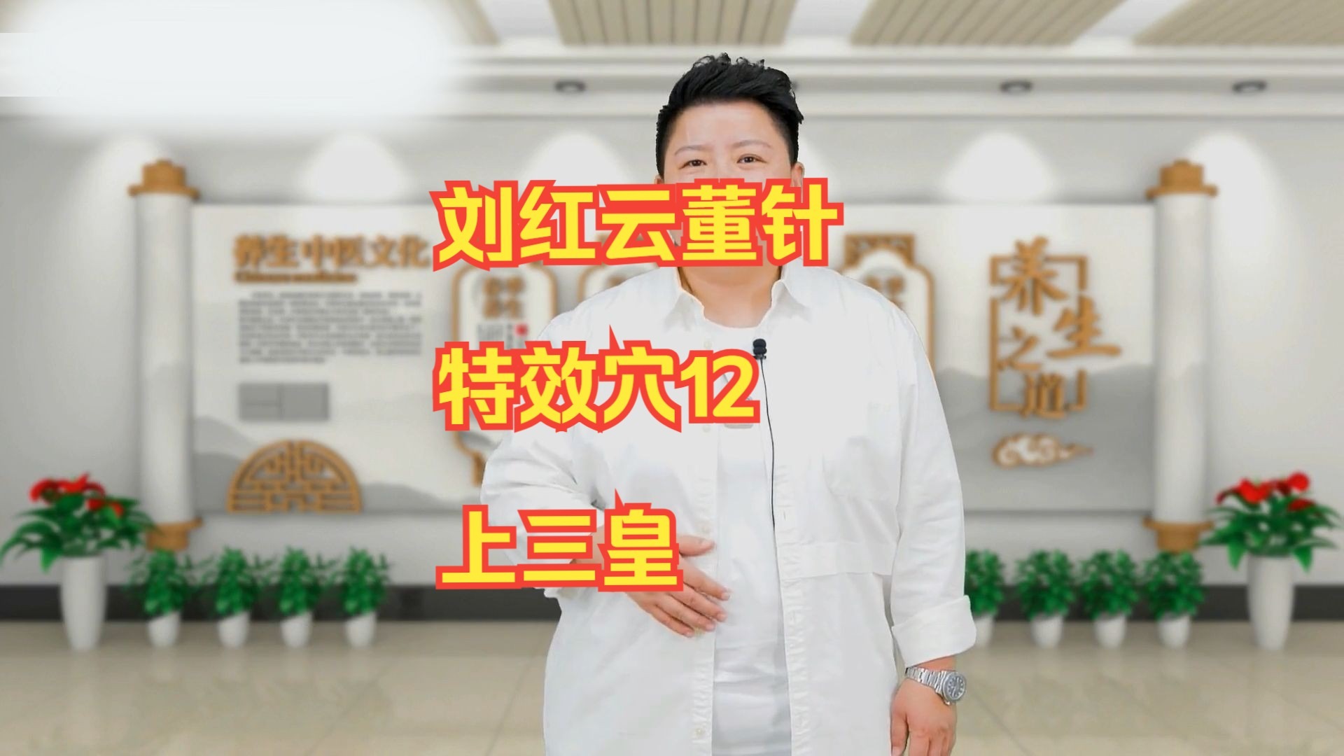 刘红云董针特效穴12上三皇