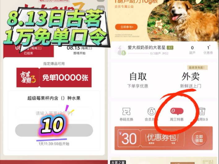 8月13日古茗一万免单口令