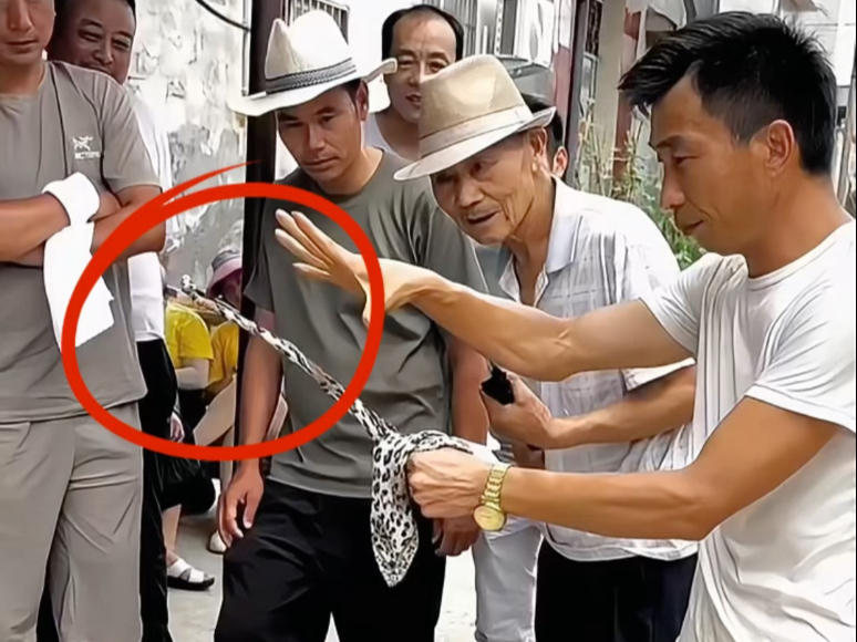 揭秘农村骗局，手势眼镜蛇。