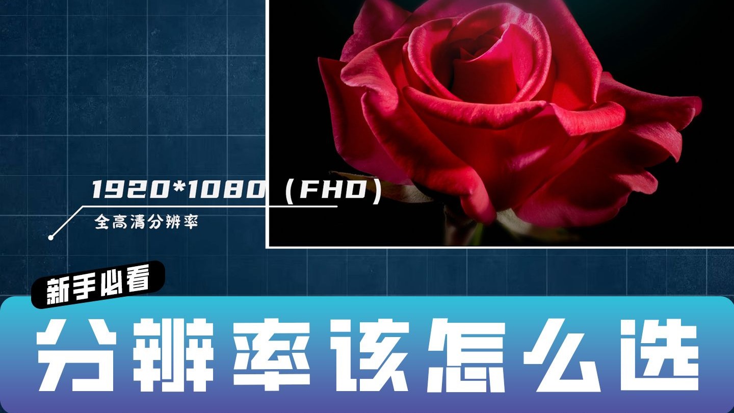 【新手必看】什么是分辨率 该怎么选    【PR教程】【PR2025