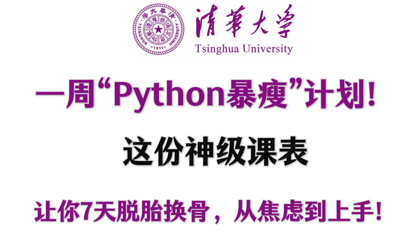 【全748集】清华大佬给你的Python学习按下快进键⏩！2025最优