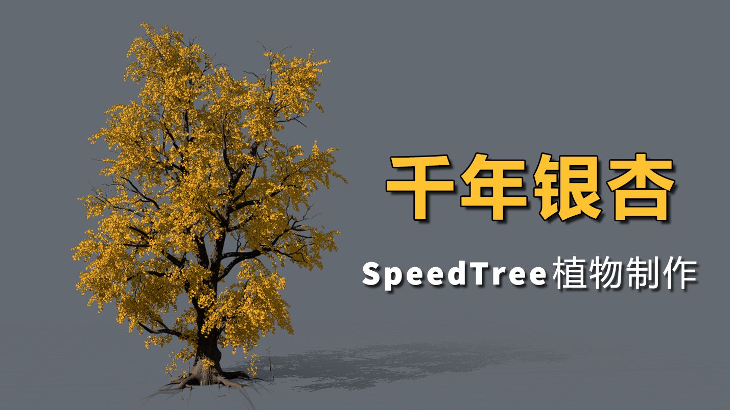 SpeedTree建模  银杏