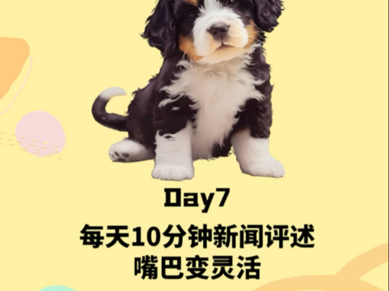 每天一个新闻评述，脑子有货