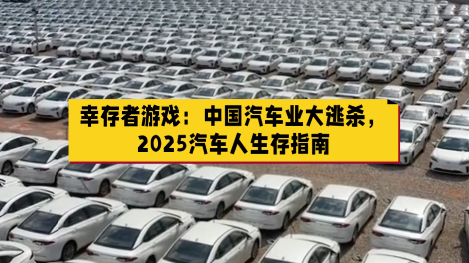 幸存者游戏：中国汽车业大逃杀，只有10家能活到2030？2025汽车人生
