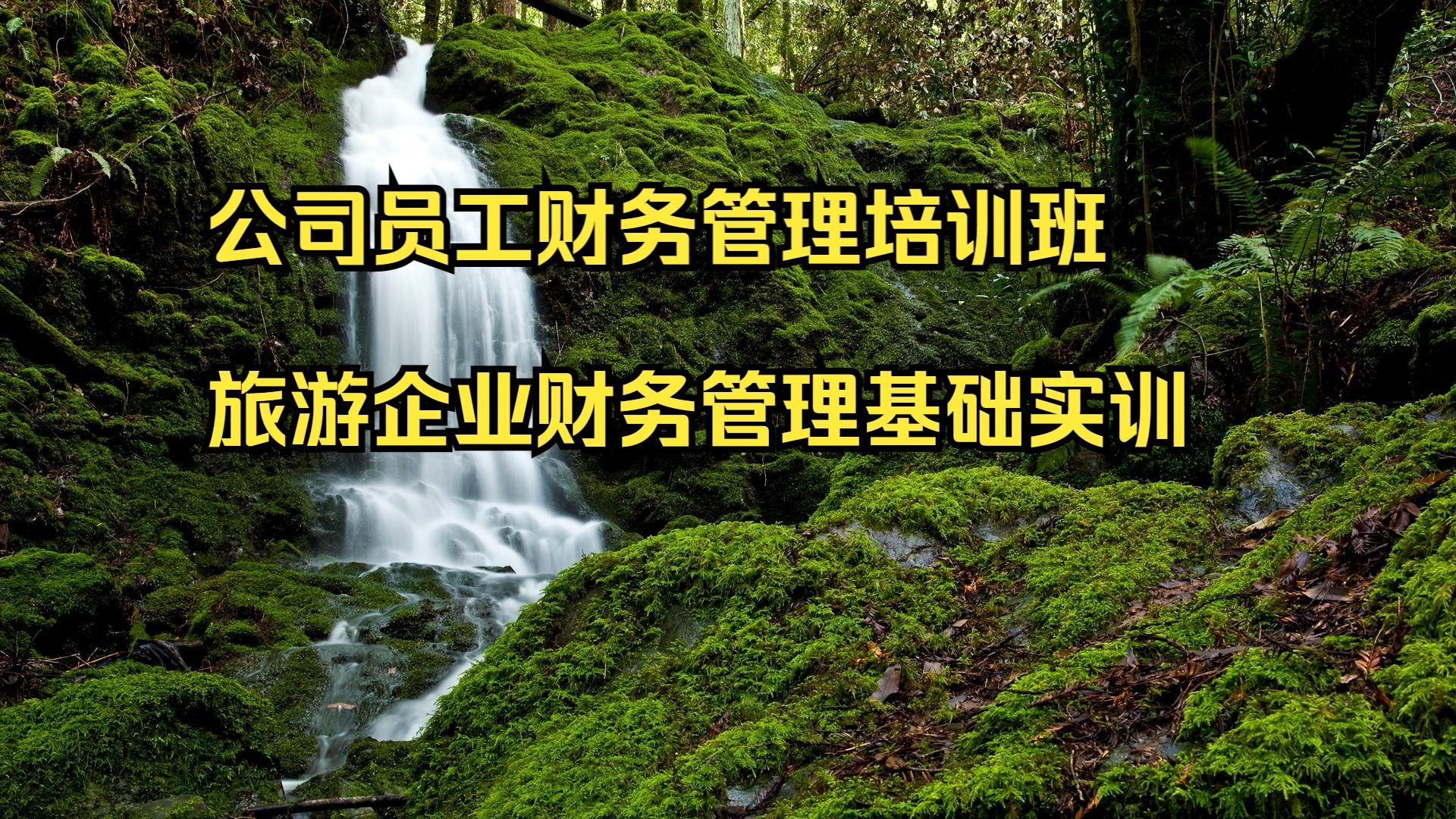 公司员工财务管理培训班 旅游企业财务管理基础实训 中级职称