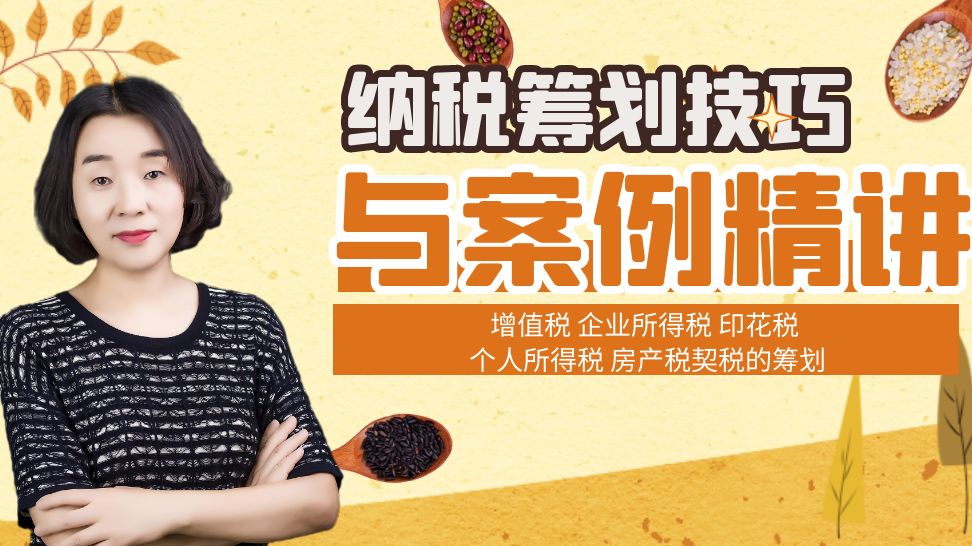 纳税筹划（税务筹划，不分行业）--注册公司、增值税、企业所得税、