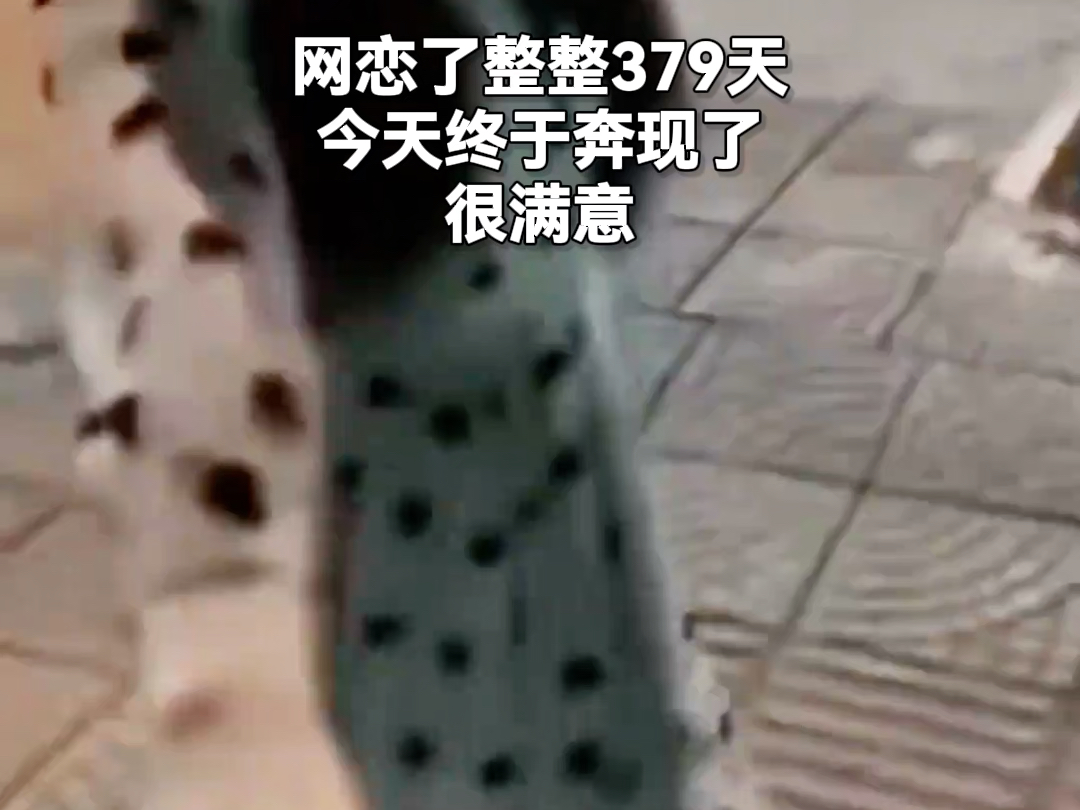 网恋了整整379天，今天终于奔现了，很满意！
