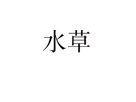 飞猴是长时间的暗桩、你的亲近的人，种心锚才有效