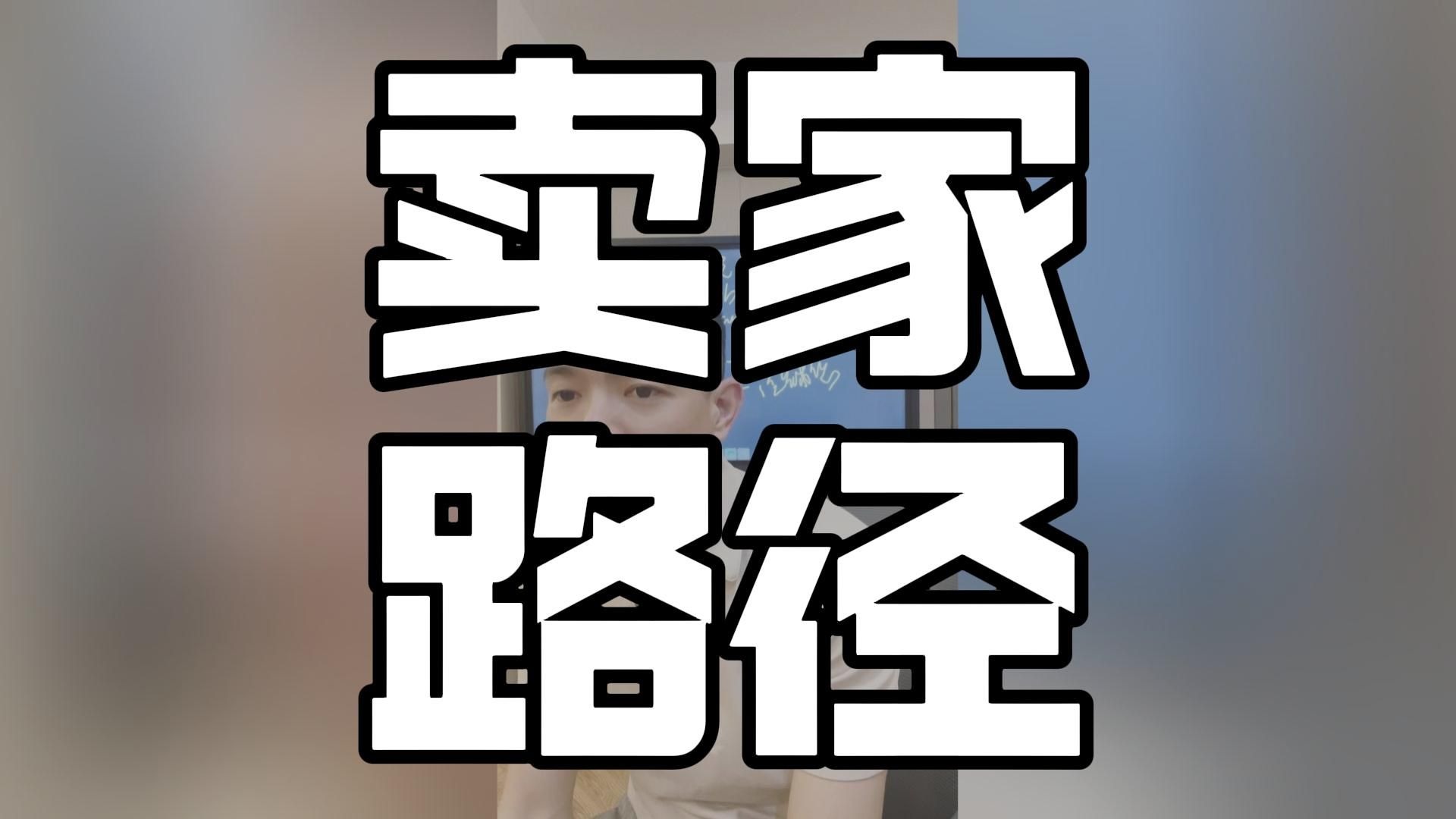 俄罗斯电商不同卖家的起店路径