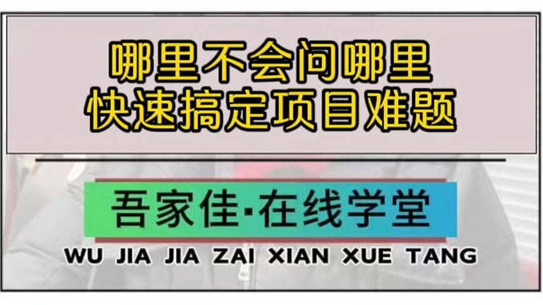 哪里不会问哪里，快速搞定项目难题