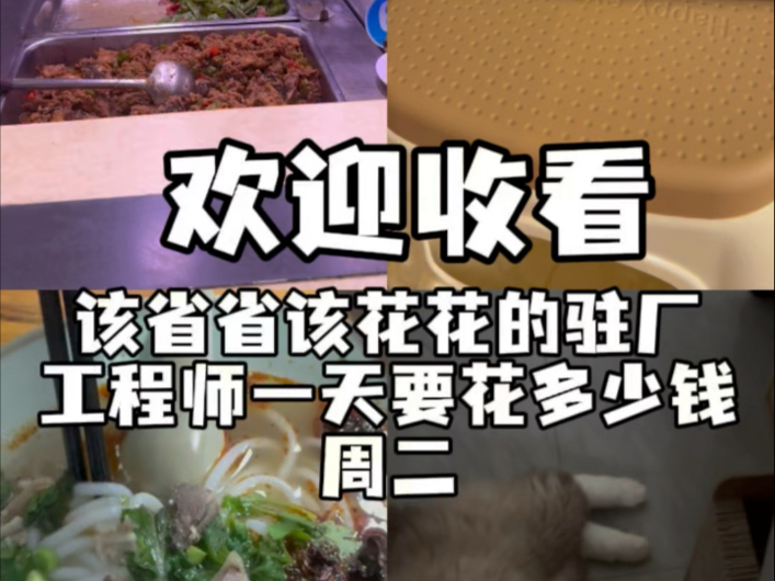 2025/6/17 周二 该省省该花花的驻厂工程师要花多少钱 普通却