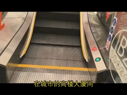 电梯检验员带好工具箱赶小区，停梯后检查导轨润滑。测轿厢平层