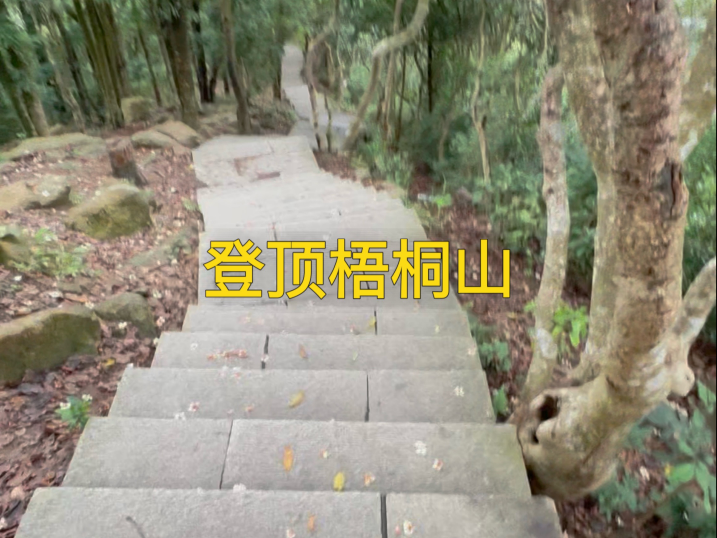 深圳梧桐山，爬山爱好者一定要挑战一下！