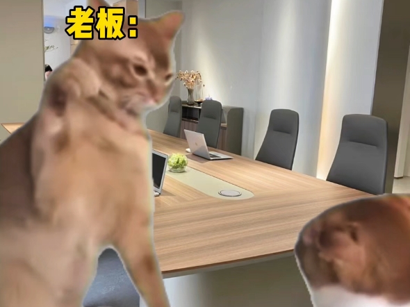 当老板质问我工作时