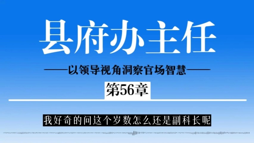 《县府办主任》有声书全集|以领导视角洞察官场智慧|体制内必