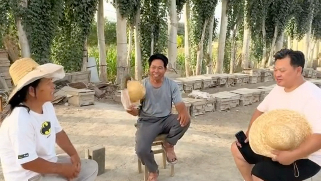 究竟何为真相？