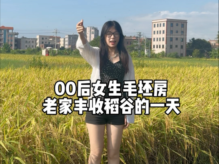 好不容易等辛苦劳作的稻谷丰收了，给突如其来的雨淋湿了