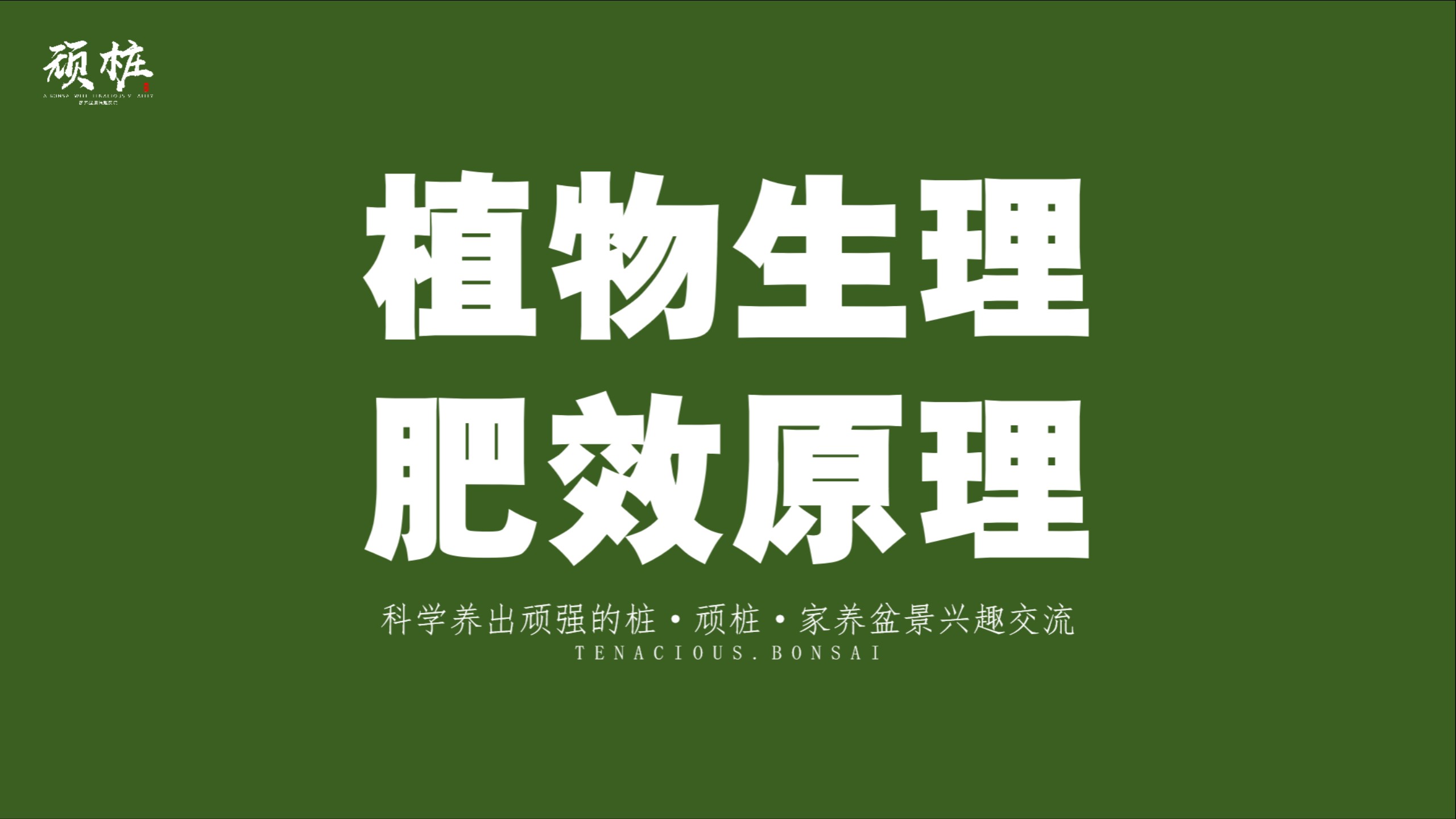 植物肥效原理，根系如何吸收养分