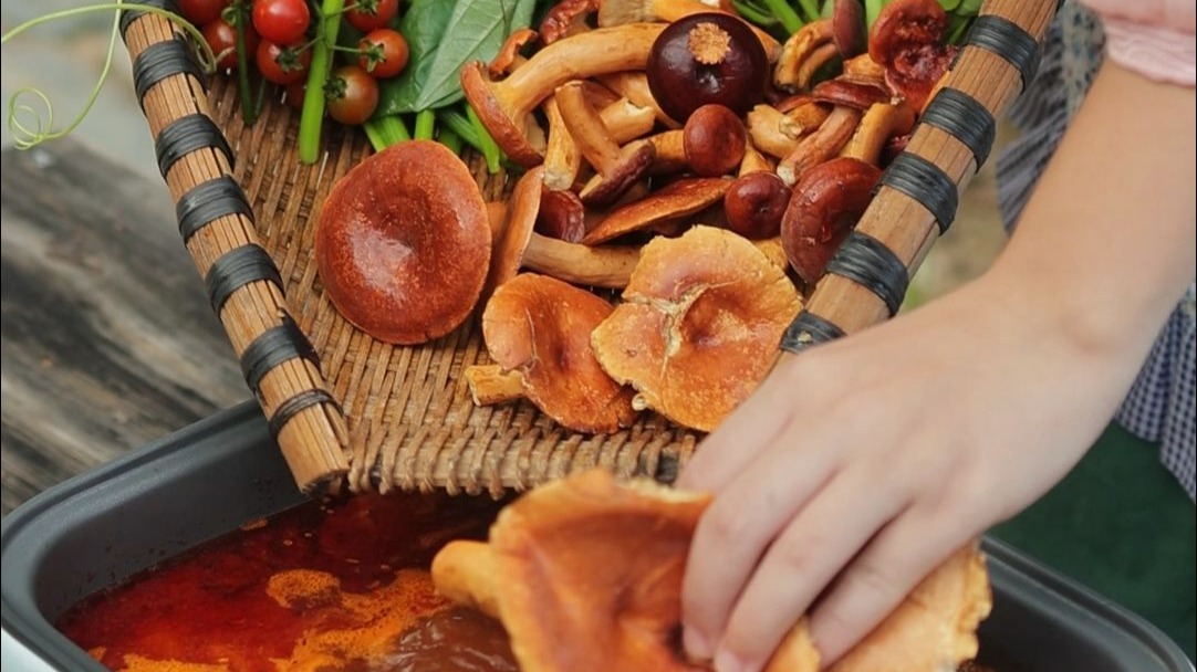 唐捣上山捡了一些奶浆菌，没想到下火锅这么好吃