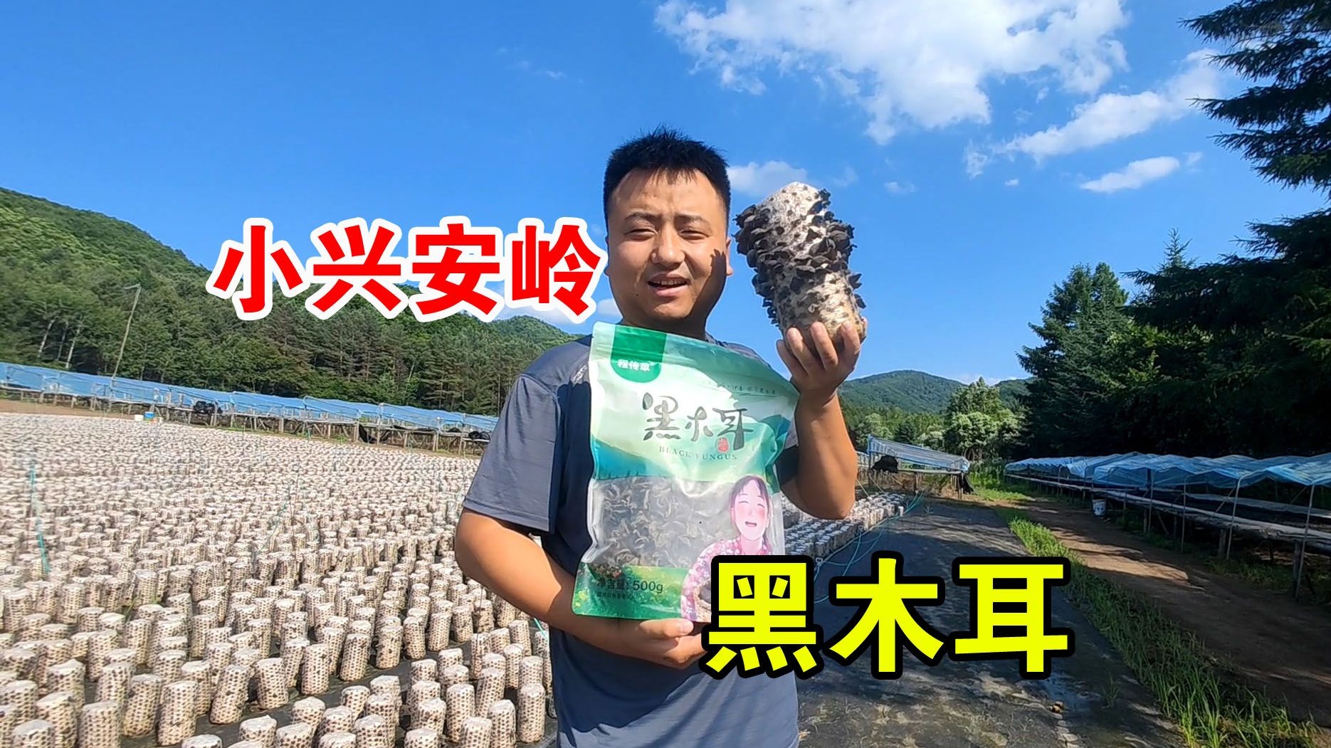 一个人坐火车30多小时，到达小兴安岭木耳地，大山里的宝贝