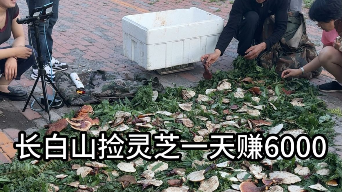 长白山跑山人绝不外传的赚钱秘密