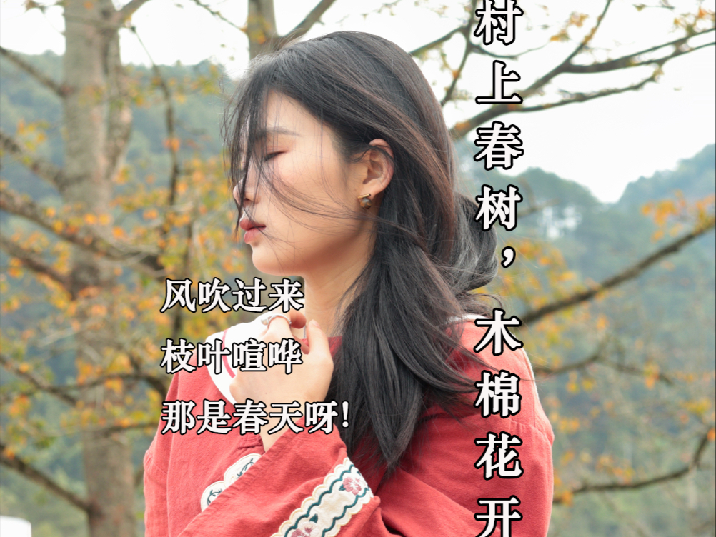 木棉花开，春天来！木棉生在坎坎上，长在山卡拉，来～我带你们看我家乡