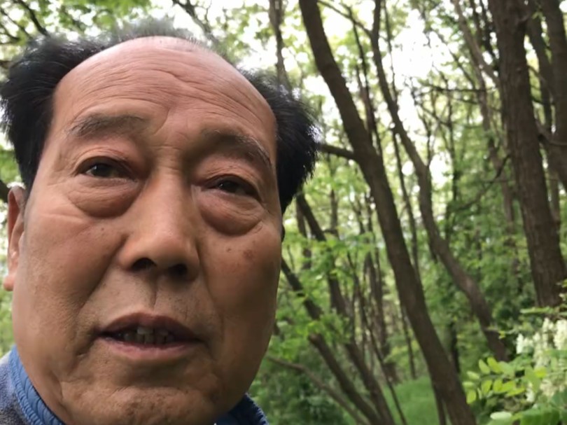 摘槐花