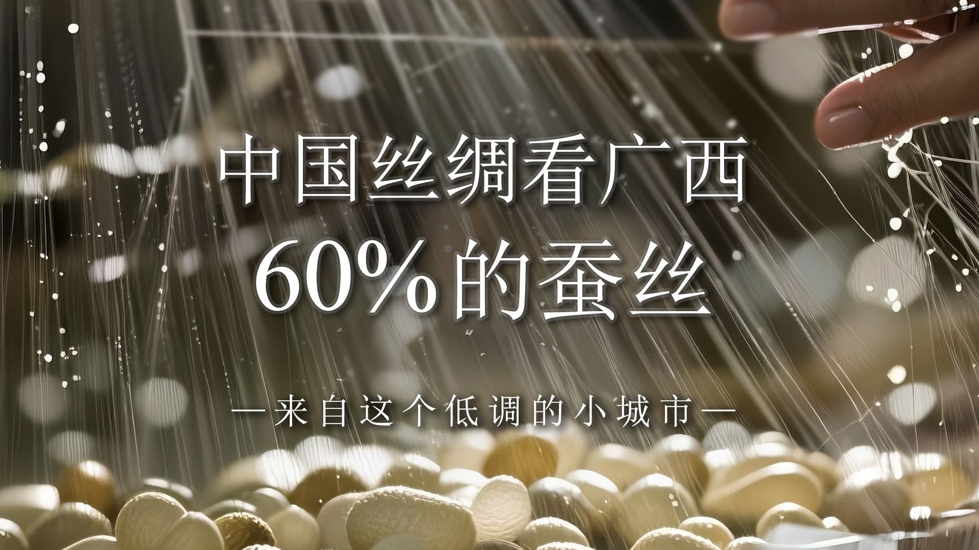 丝绸不止苏杭！中国60%的蚕丝从广西来！