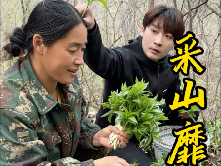 今天我们一家子上山采山靡子，太好玩了。