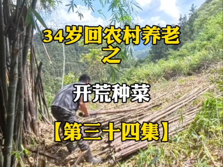 下了两个月的雨停了，开荒一片土地，计划种上一些瓜果蔬菜红薯