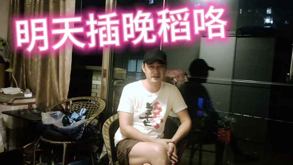 晚稻插种倒计时