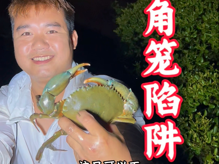三角笼陷阱效果很好，特别是打了窝大货都出来抢吃了