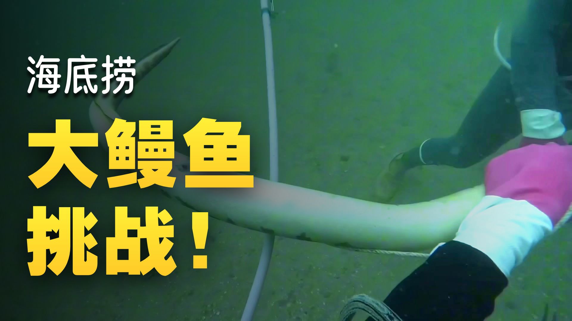 渔民海底赶海都能捞到啥好货之人族大帝大战海族super鳗