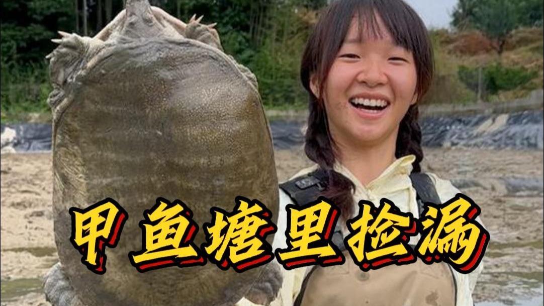 花三百在一口干掉的甲鱼塘里捡漏，看看到底能上多少货？