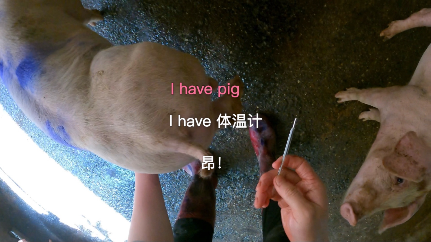 瞄准咻Pong～