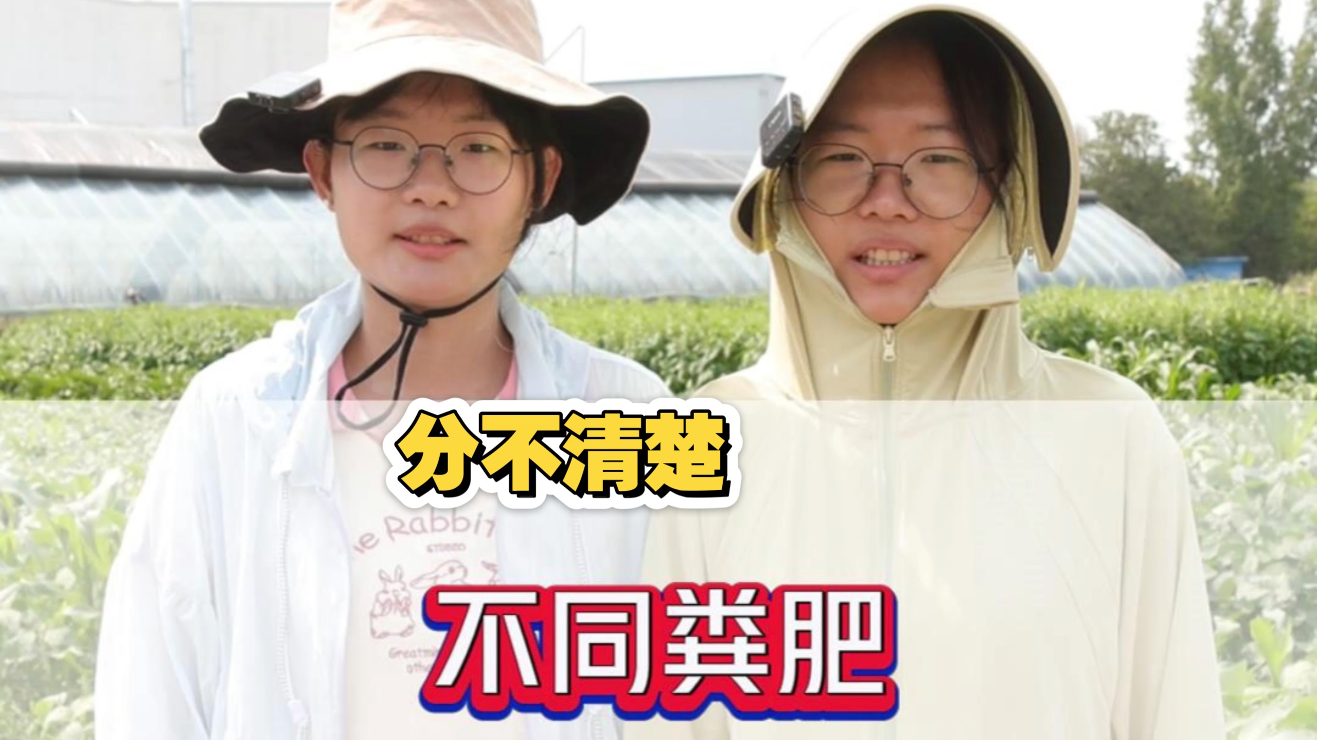 粪肥傻傻分不清楚？快看紫月给大家详细聊一聊粪肥