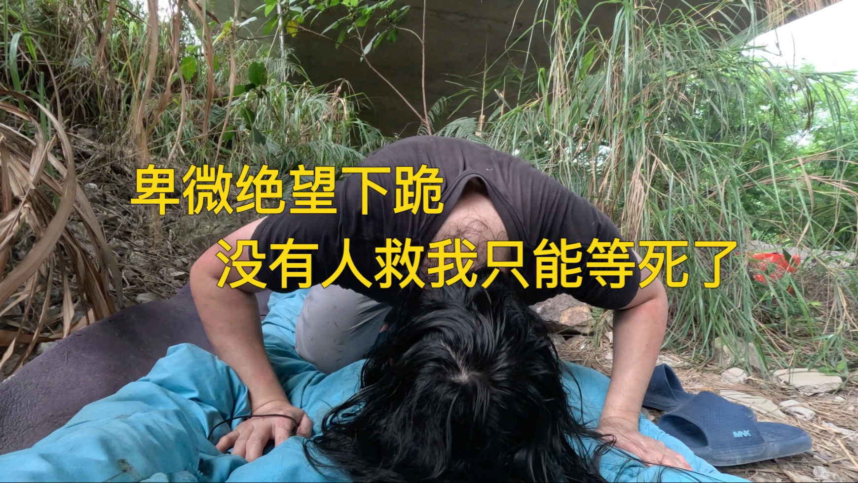 领的农村低保我没有爸爸了