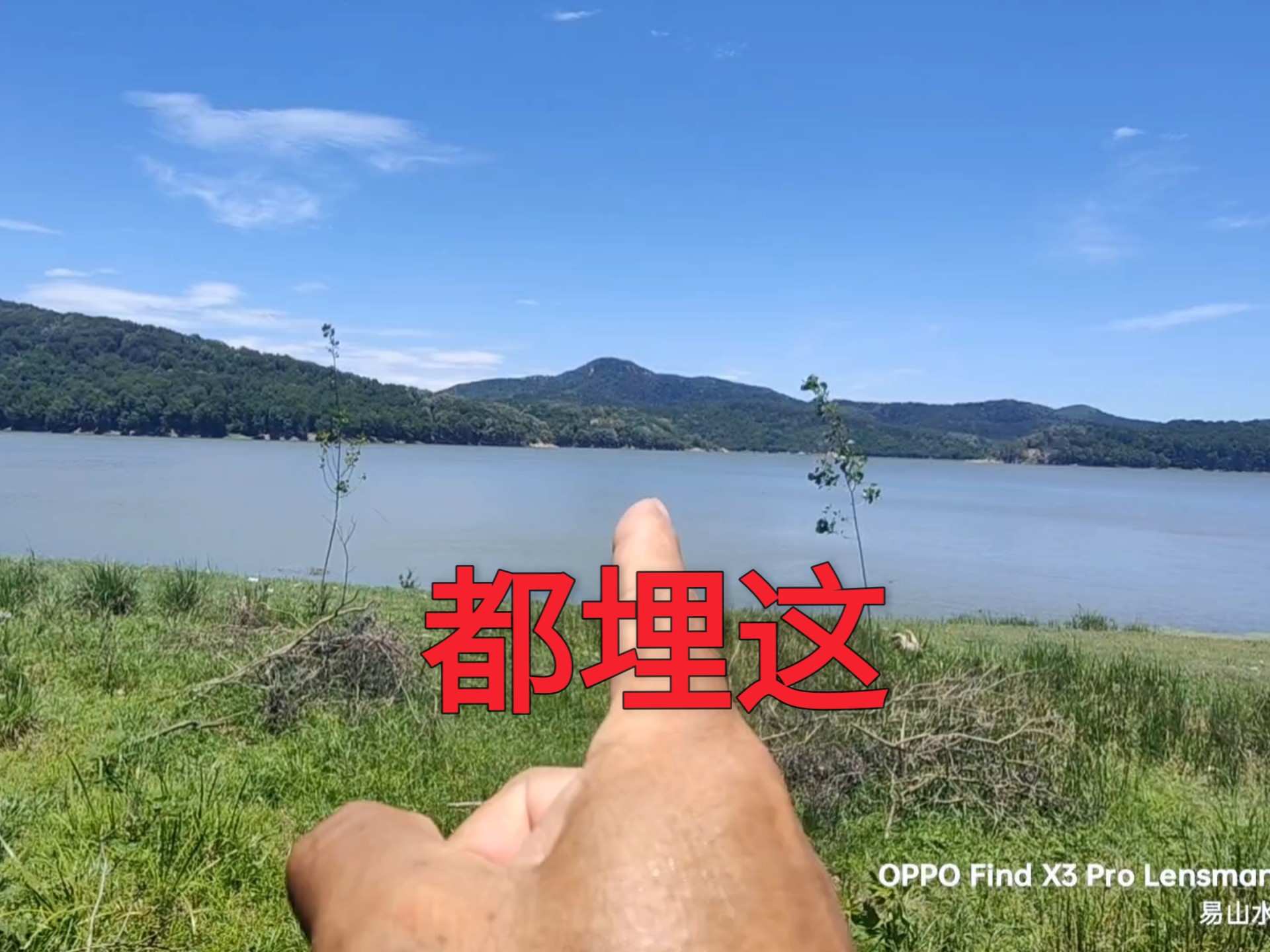 没有更好的地了，都埋这！