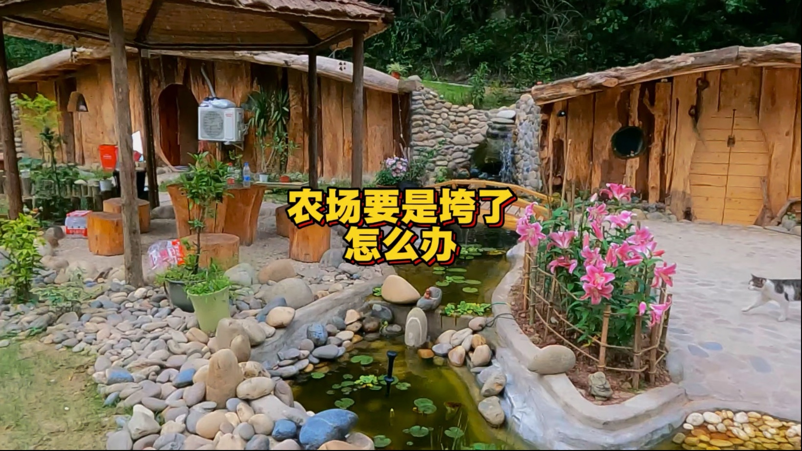 农场要是做不下去垮掉了我怎么办呢