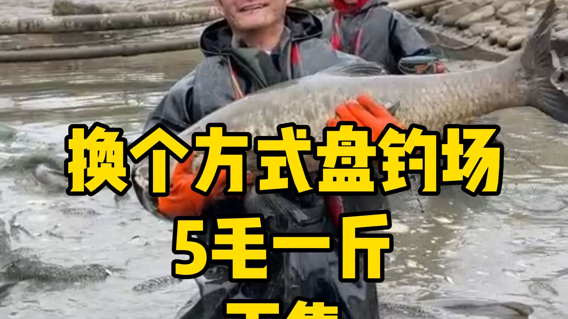 换种方式包塘，这把不卖鱼只赚捕捞费，终于不会亏了吧？
