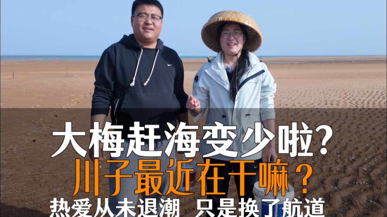 川子和大梅赶海PK！大梅凭经验顺利找到蛤蜊窝！疯狂收割！久违的赶