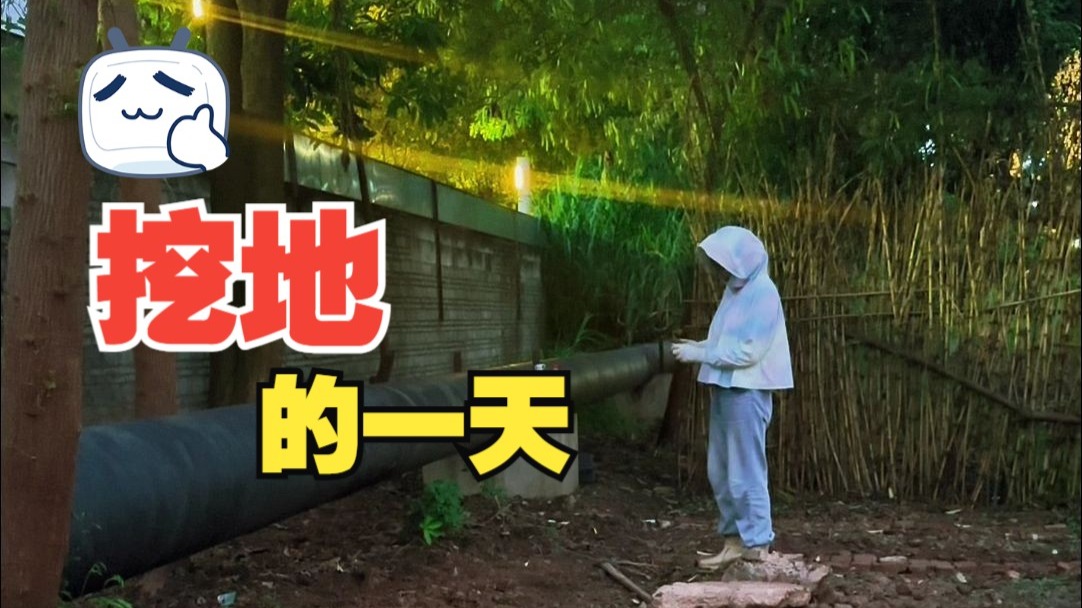 挖地的一天！